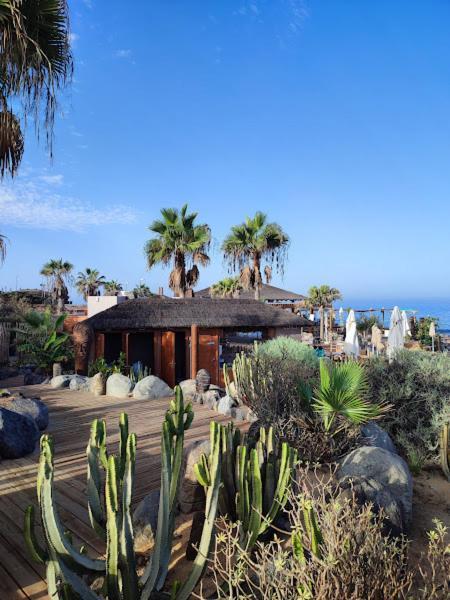 Appartamento Margherita House Tenerife, Wonderful Ocean View Palm-mar Esterno foto