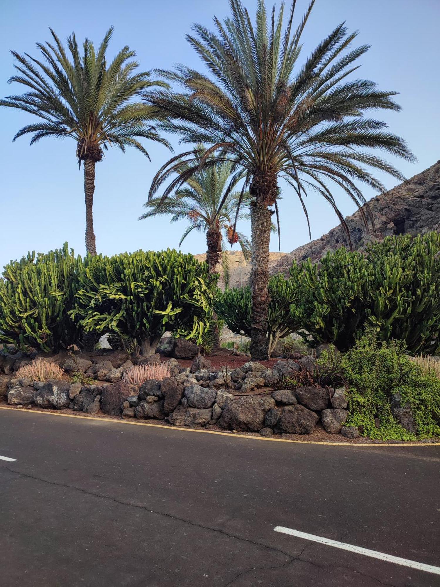 Margherita House Tenerife, Wonderful Ocean View Palm-mar Esterno foto
