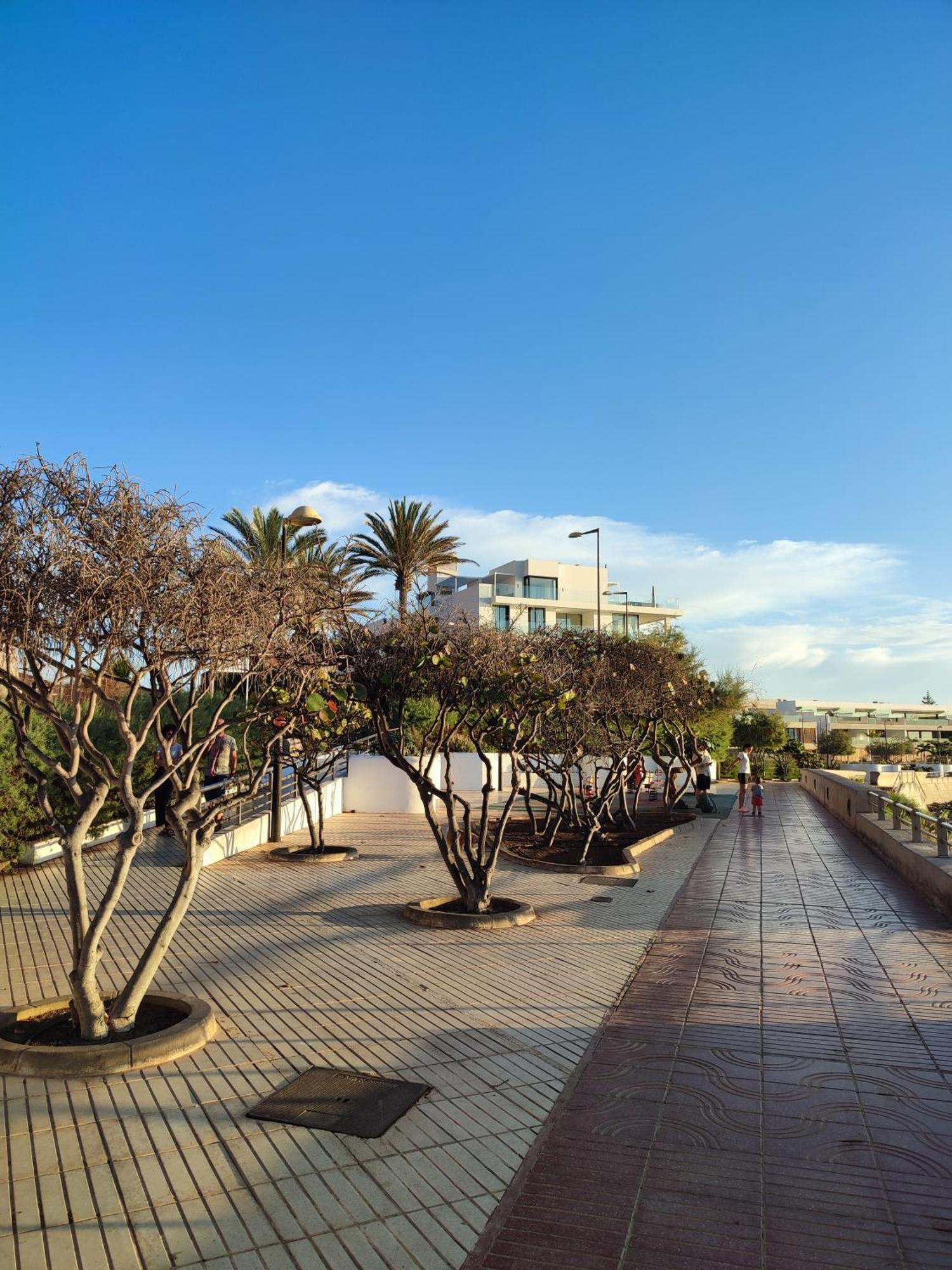 Appartamento Margherita House Tenerife, Wonderful Ocean View Palm-mar Esterno foto