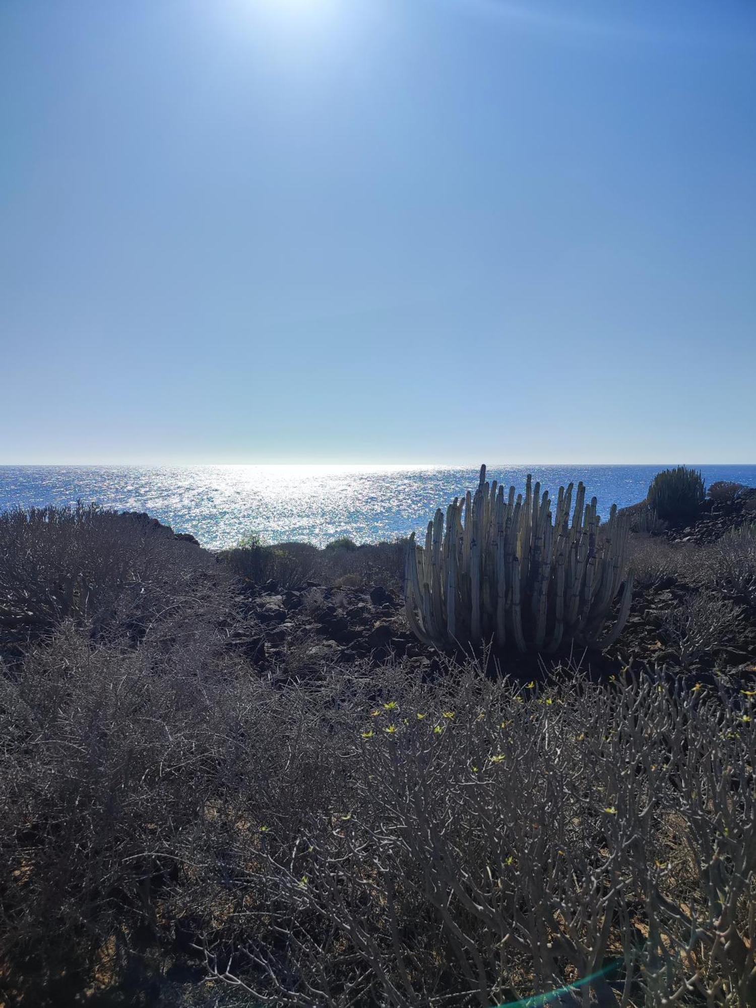 Appartamento Margherita House Tenerife, Wonderful Ocean View Palm-mar Esterno foto